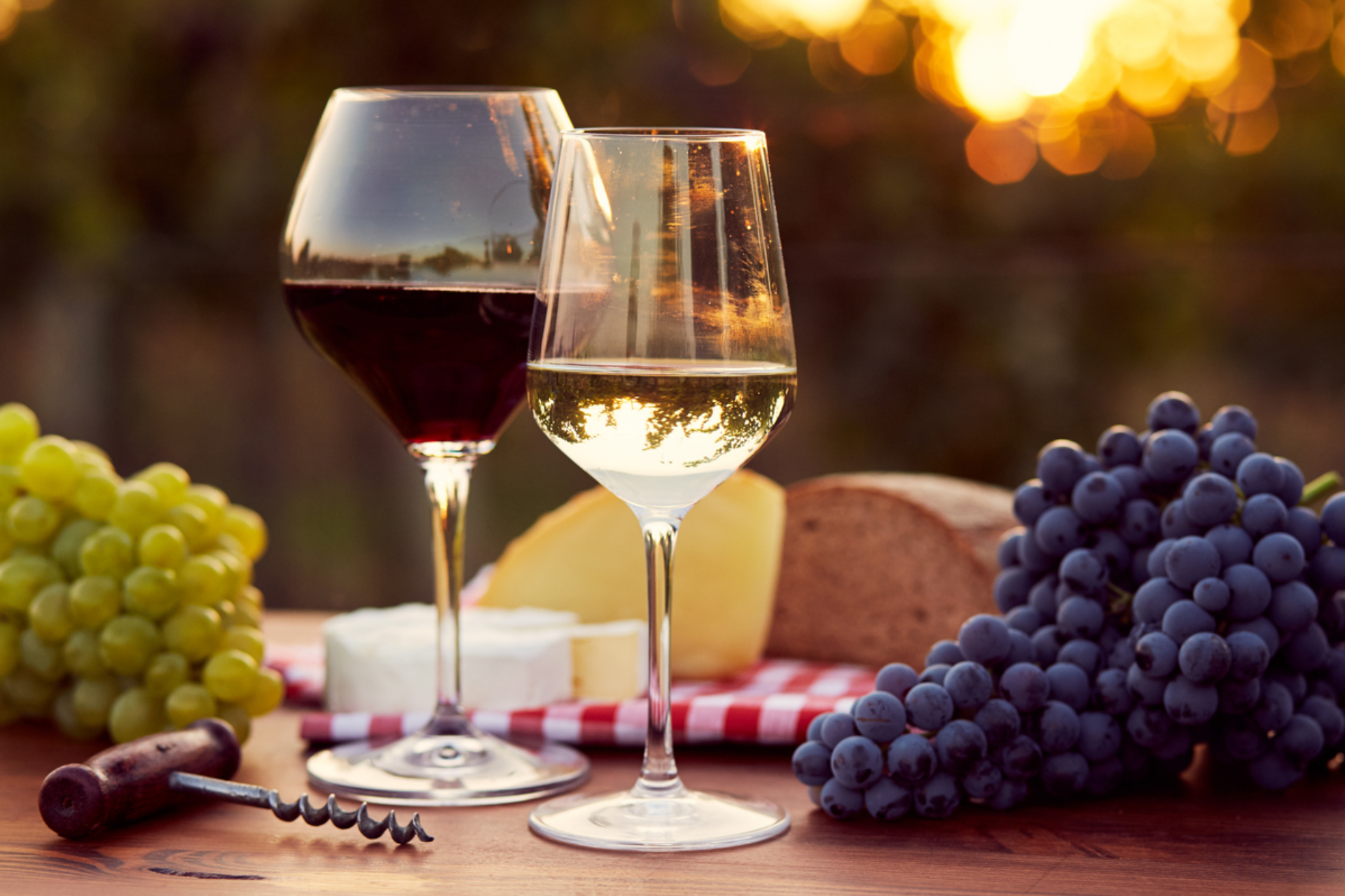 o-que-sao-vinhos-organicos-vinho-e-viagem